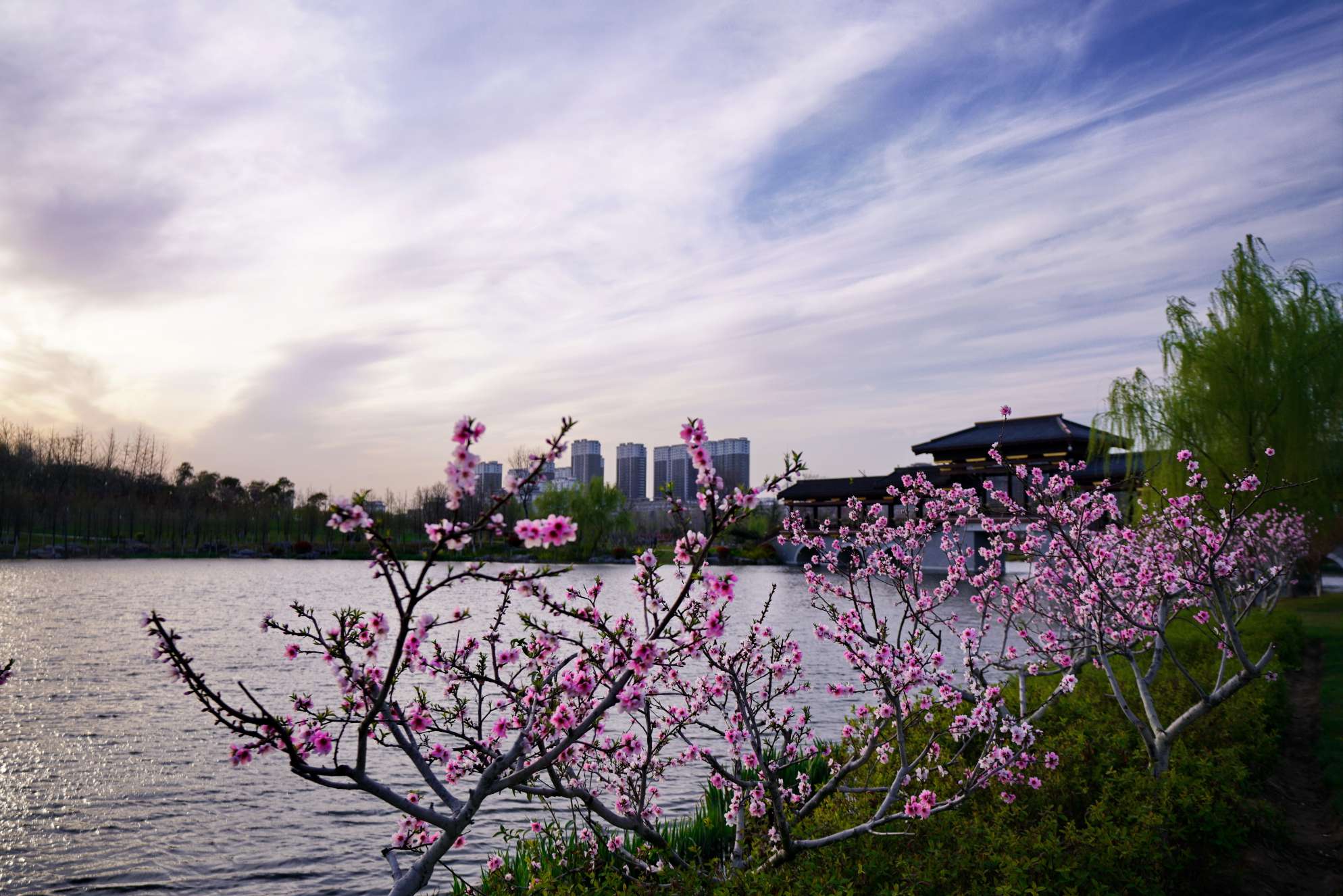 邳州桃花岛的美景图片