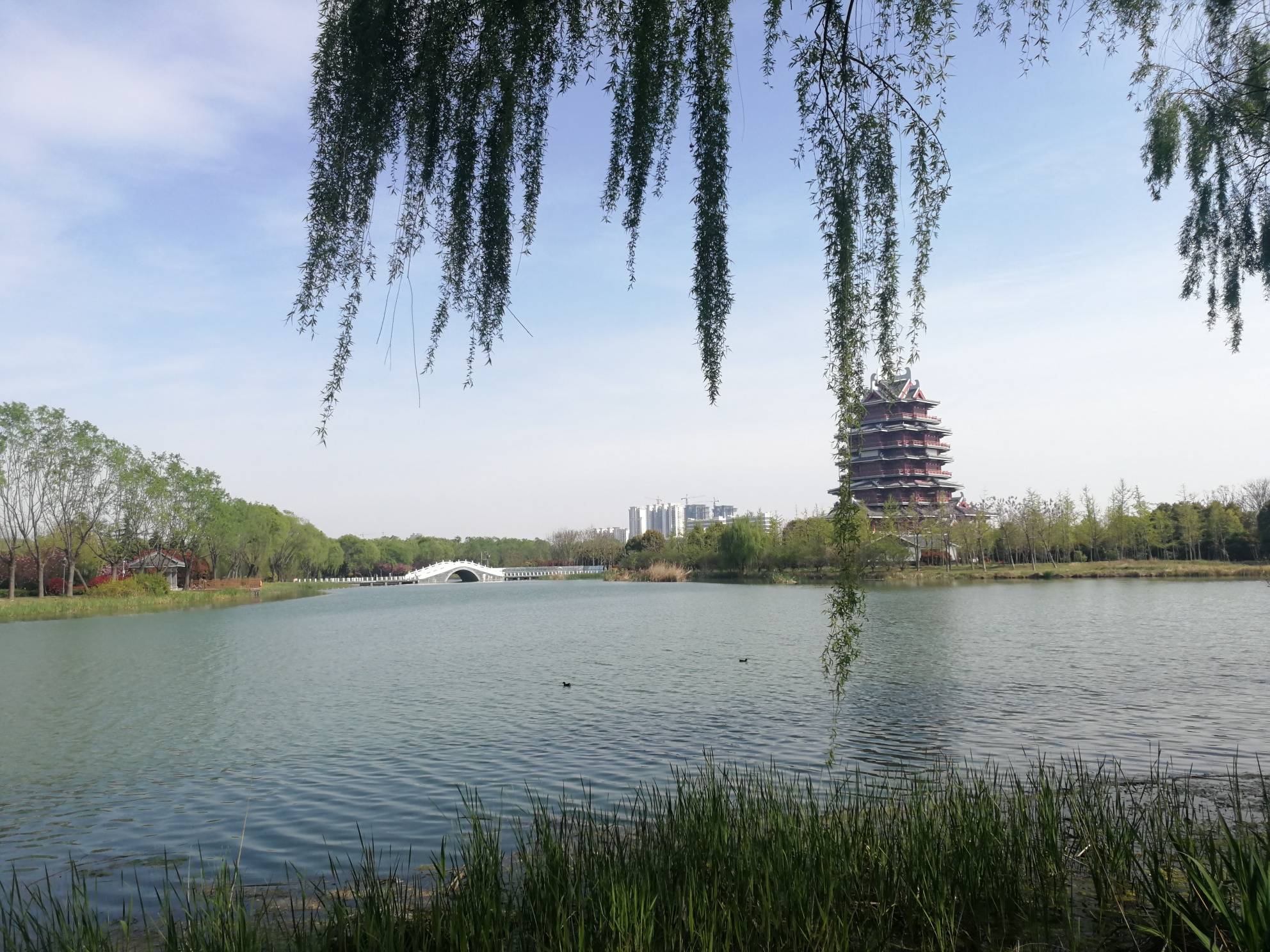 邳州沙沟湖风景区图片