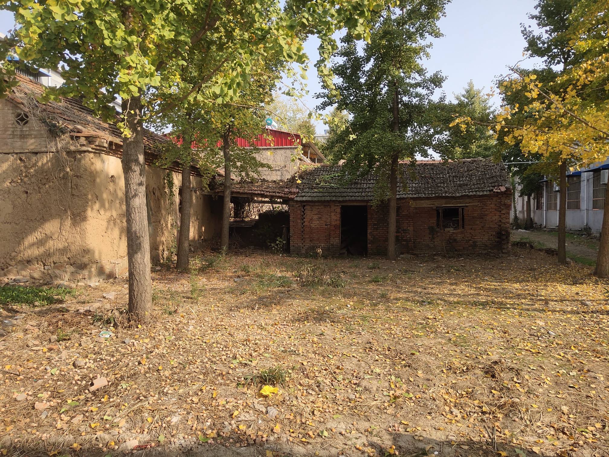 出售宅基地 - 房产买卖(个人信息专版) - 邳州论坛 - powered by